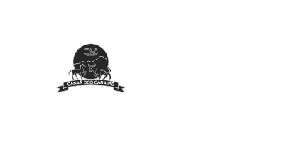 Prefeitura de CanaÃ£